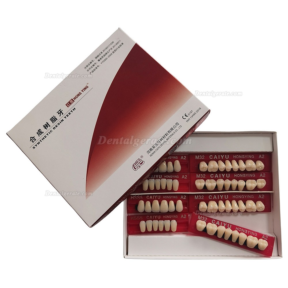 Caiyu Hongying Zahnprothesen aus Dentalharz (Dreischichtfarbe) A1/A2/A3/A3.5/A4